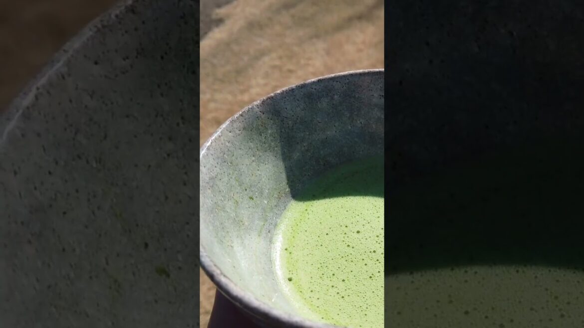 Strolling in the Japanese Garden #traveljapan #japanesegarden #traditional