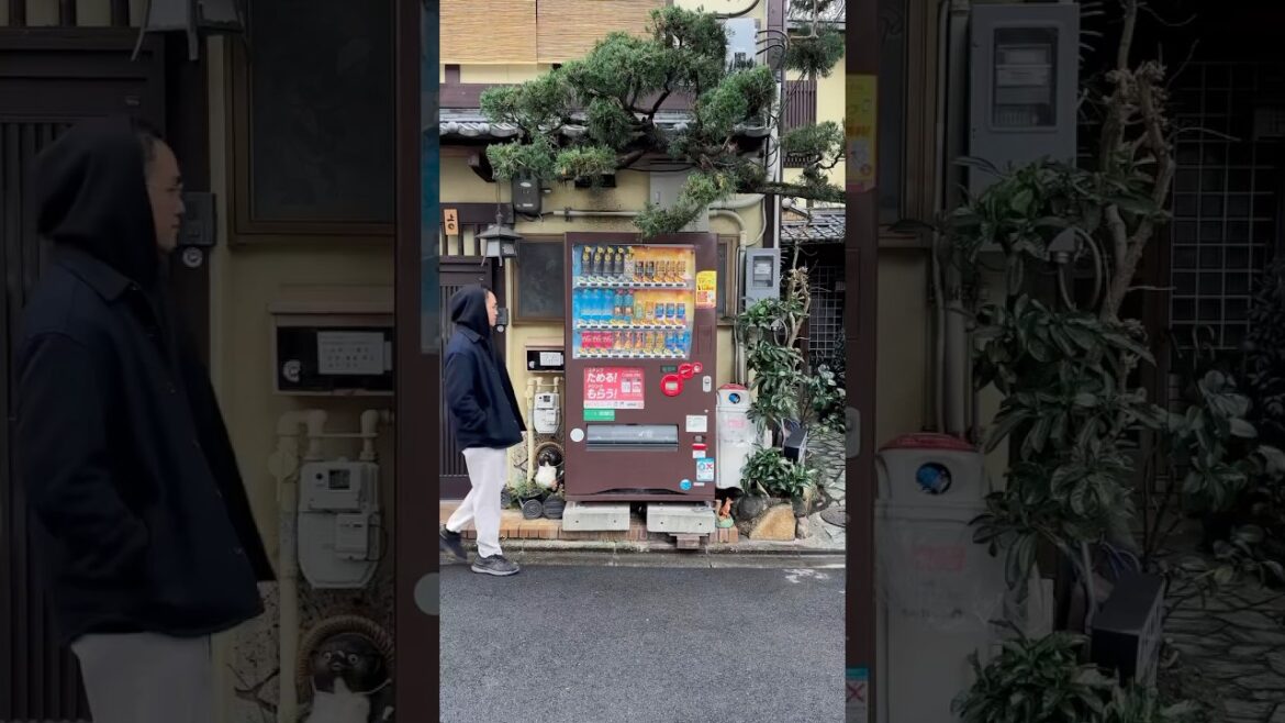Is it Japan if there are no vending machines??? #tokyo #kyoto #osaka #okinawa #japan