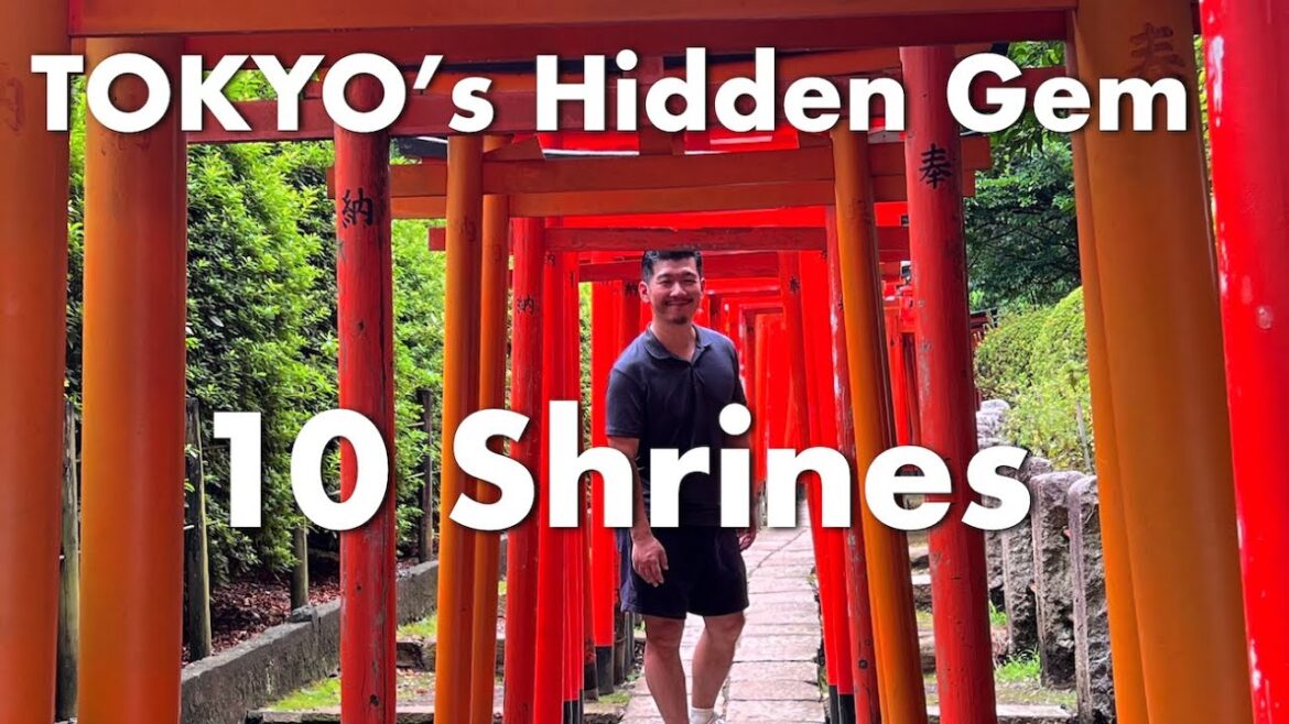 Explore Tokyo’s Hidden Treasures | Shinto Shrines You Didn’t Know About Explore Tokyo's Hidden Treasures | Shinto Shrines You Didn't Know About