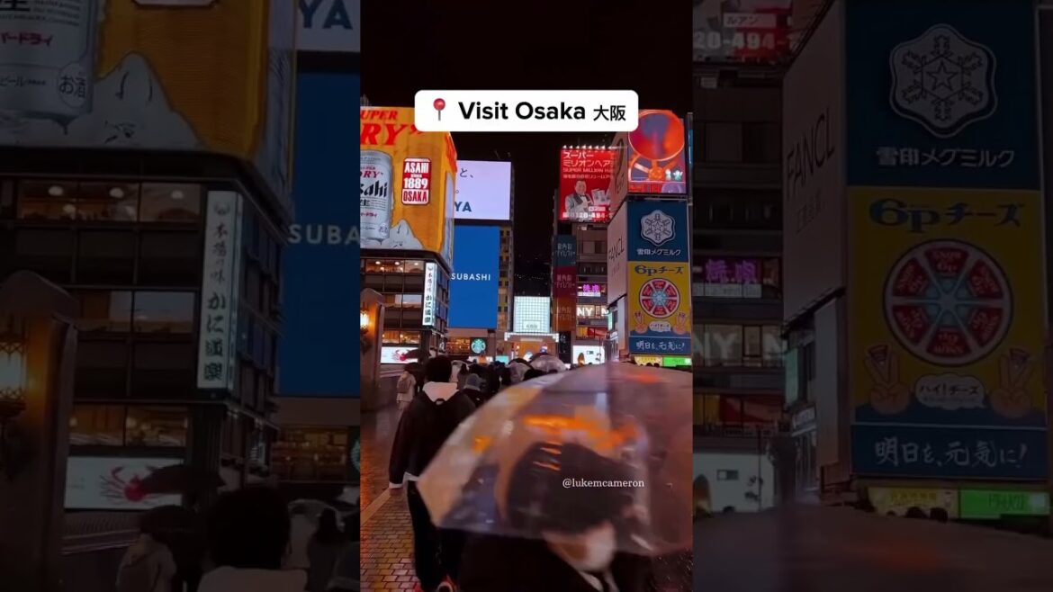 Book your next vacation with a budget friendly travel alternative in the beautiful country of Japan