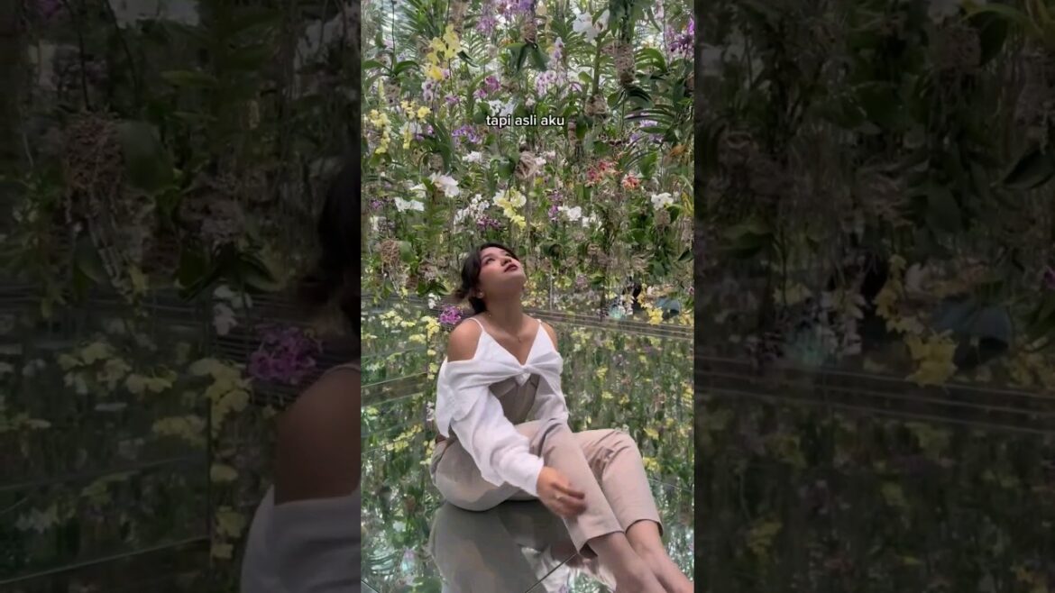 Tokyo Tour | #travel #shortvideo #shorts #japan #anime #music