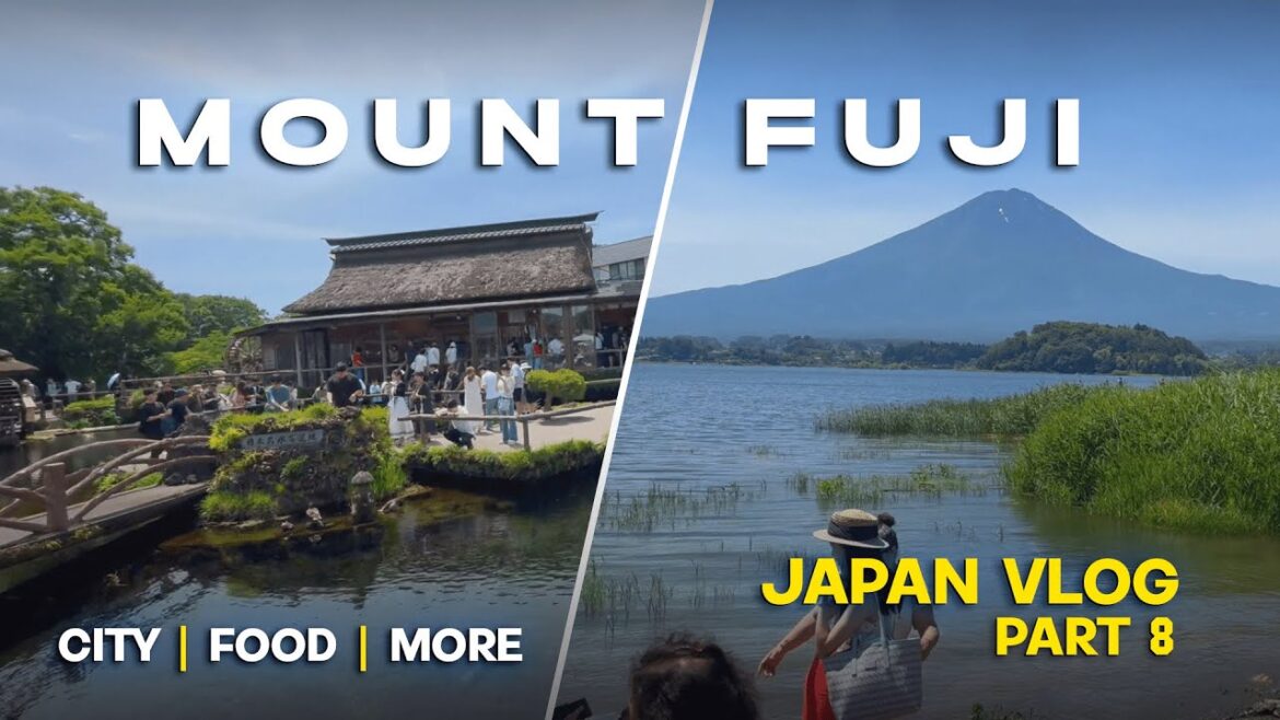 TOKYO TO MOUNT FUJI 🗻| DAY TRIP FROM TOKYO| INDIANS IN JAPAN 2024