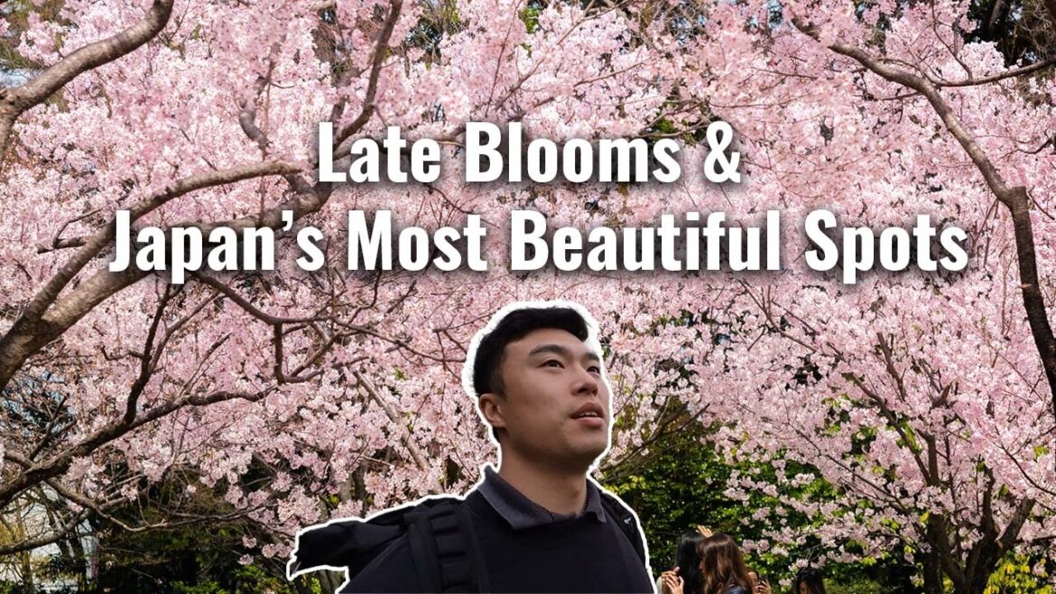 Deep into Japan’s Late Cherry Blossom Bloom + Stunning Destinations