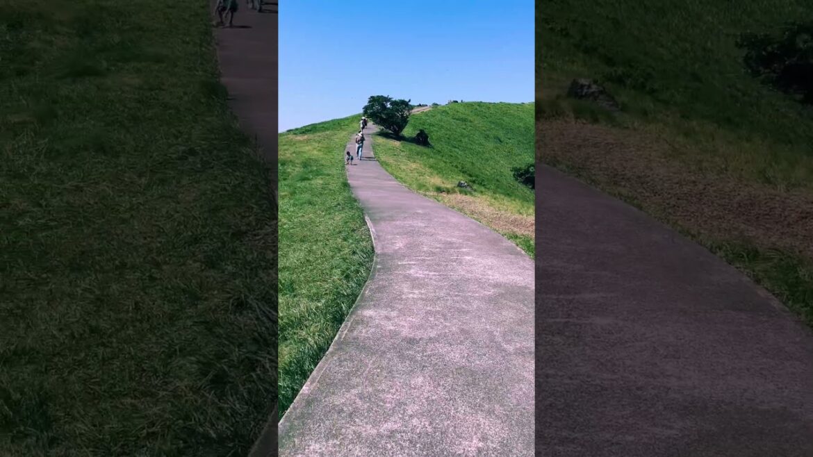 Mount Omuro is beautiful in summer, covered in green grass🥰