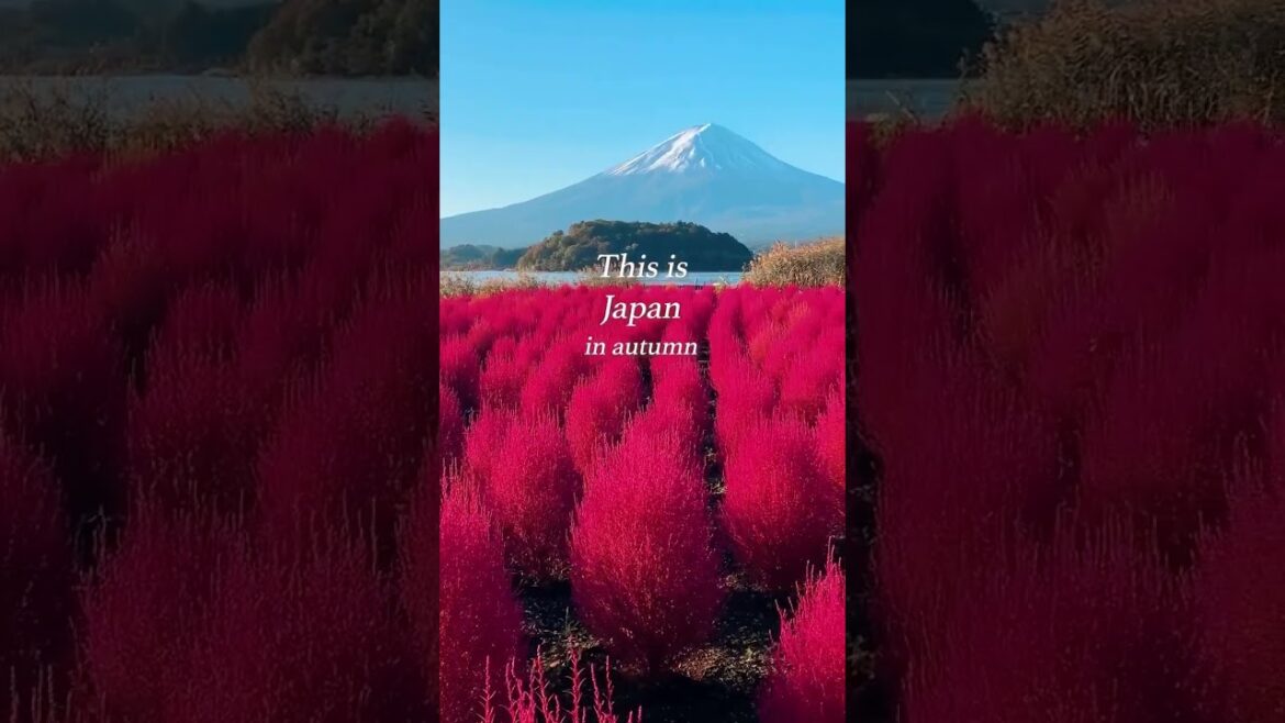 Japan in Autumn, colors and a breathtaking view of Mount Fuji #travel #japan #mountfuji #asia Japan in Autumn, colors and a breathtaking view of Mount Fuji #travel #japan #mountfuji #asia