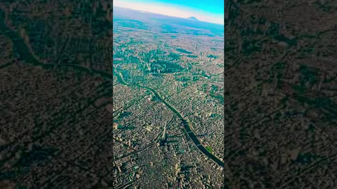 Tokyo, Japan #dailyvlog #travel #shorts