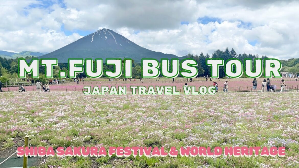 Mt.Fuji Bus Tour🚍 Japan Travel Vlog | Shibazakura, Lake Yamanaka & Oshino Hakkai (World Heritage)
