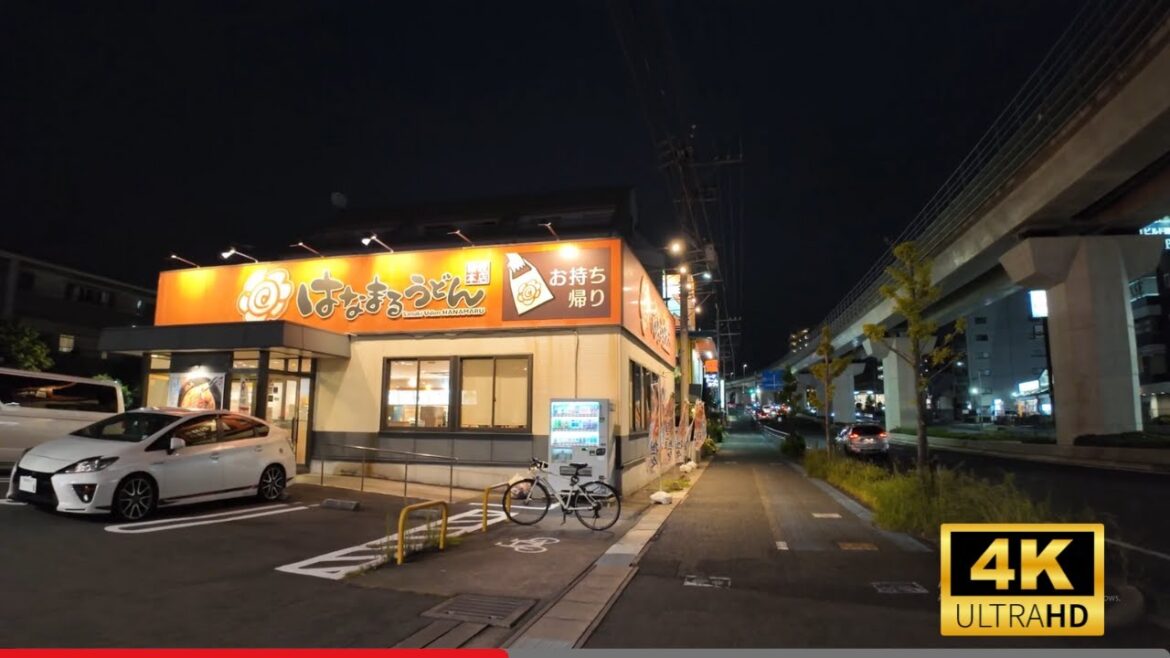 Japan: Summer Night Walk • Suburban Nagakute