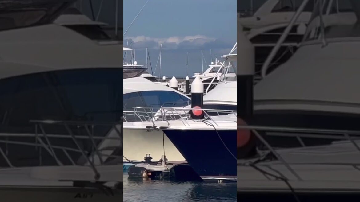 Beautiful Yatch at Marina Bayside - Yokohama