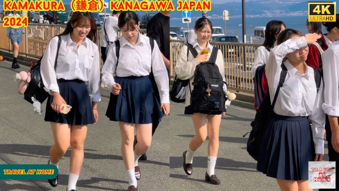 4k hdr japan travel 2024 | Walk in Kamakura(鎌倉)Kanagawa japan | Relaxing Natural City ambience 4k hdr japan travel 2024 | Walk in Kamakura(鎌倉)Kanagawa japan | Relaxing Natural City ambience