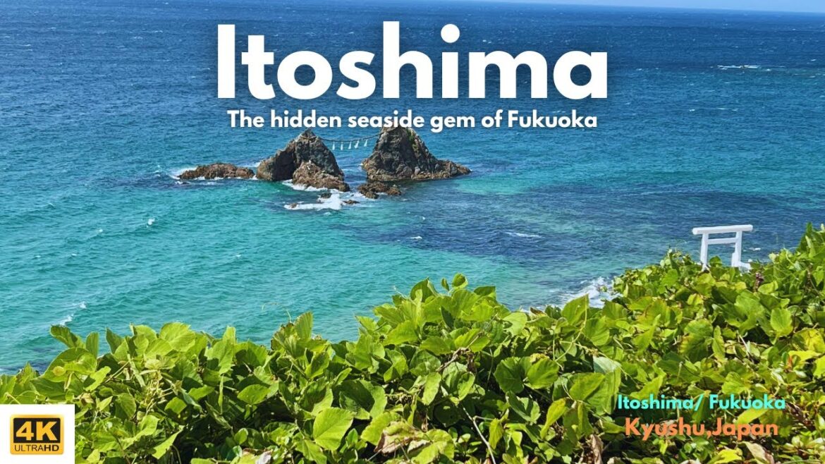I Ditched the Crowds and Found Paradise in Itoshima Japan