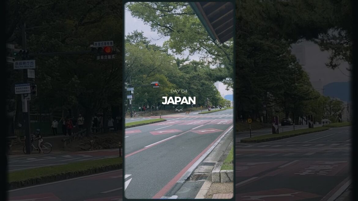 day 4 🇯🇵 went to japan to see the bowing deers and relax at nara deer park🦌 #japan #japantravel