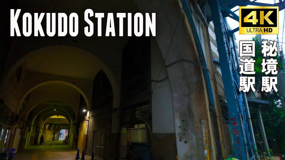 Walking through Kokudo Station, another dimension. Yokohama, Japan, 4k Walking through Kokudo Station, another dimension. Yokohama, Japan, 4k