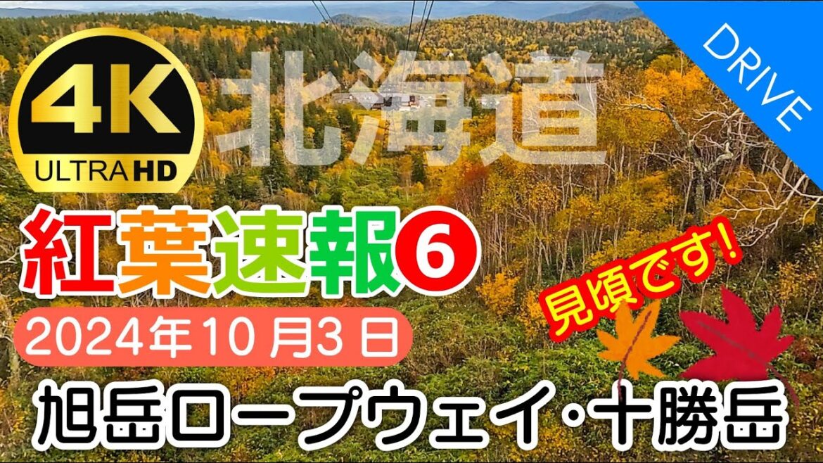 【北海道 紅葉ドライブ❻】速報!見頃です!!旭岳ロープウェイ&十勝岳温泉 2024年|美瑛・富良野周辺の色づき状況をご紹介|10月3日 【北海道 紅葉ドライブ❻】速報!見頃です!!旭岳ロープウェイ&十勝岳温泉 2024年|美瑛・富良野周辺の色づき状況をご紹介|10月3日