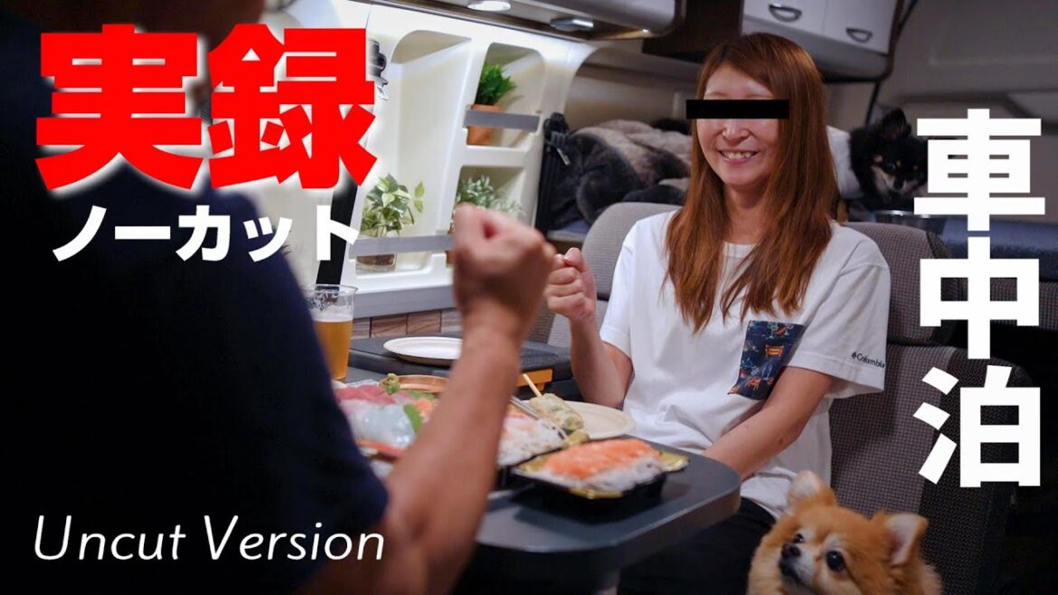 車中泊の裏側・・・酔っ払い夫婦の車内のリアル見せます|ハイエースキャンピングカー/トイファクトリー バーデン 車中泊の裏側・・・酔っ払い夫婦の車内のリアル見せます|ハイエースキャンピングカー/トイファクトリー バーデン