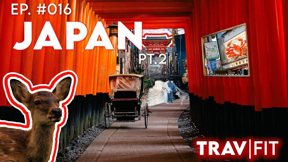 Journey Through Japan PT.2 : From Akihabara to Nara’s Sacred Deer & Osaka’s Best Eats #traveljapan
