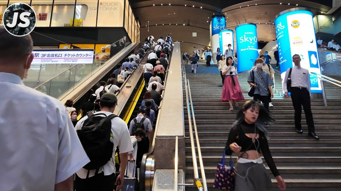 Exploring Osaka's HUGE Namba Underground Complex  (Sept 2024 Japan Walk)