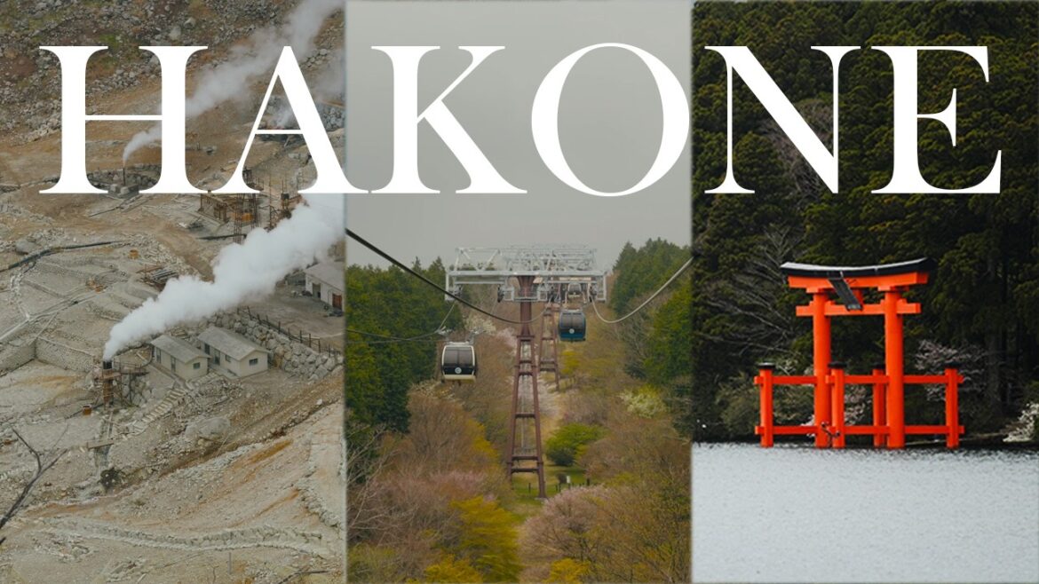 Hakone Day Trip (Lake Ashi, Hakone Shrine, Owakudani) | The Japans Travel Vlog 2024 | EP13