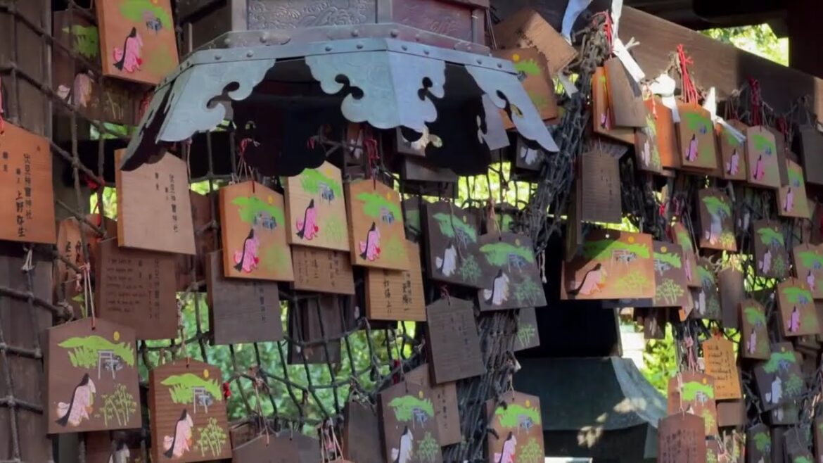 Autumn in Japan (Kobe, Kyoto ,Osaka)