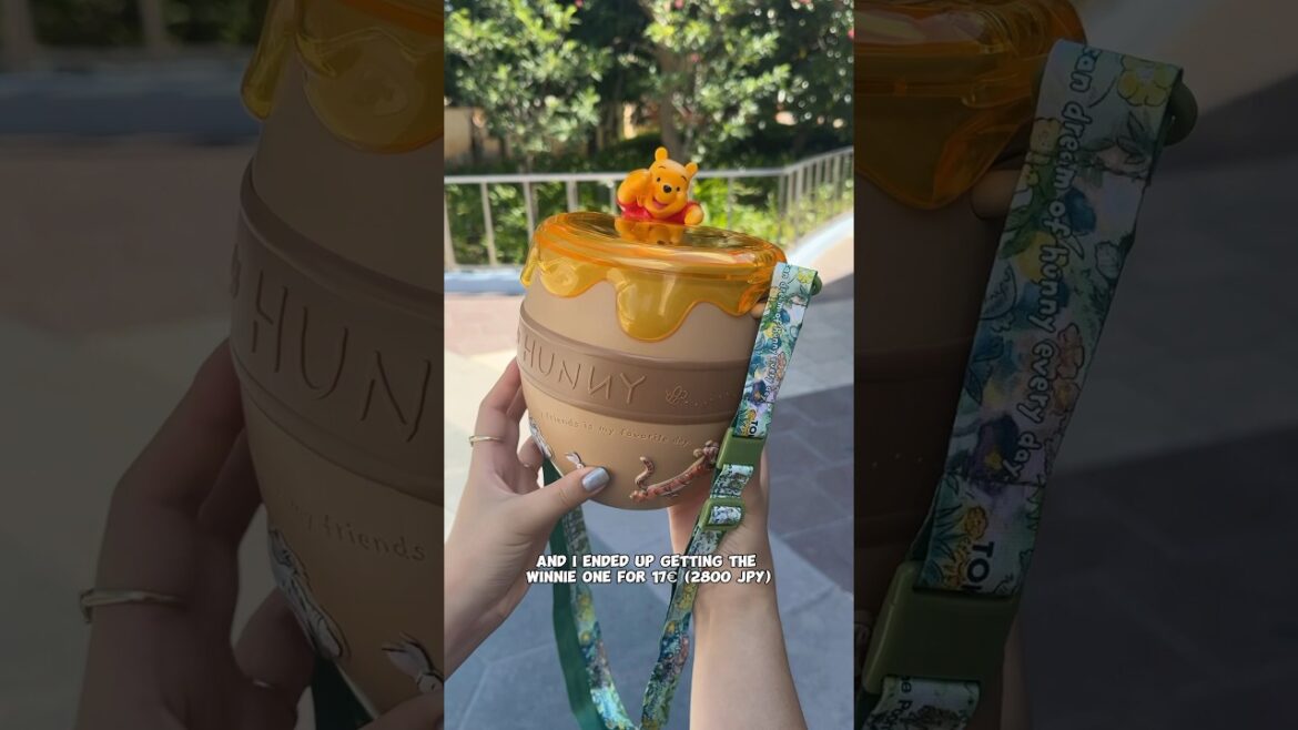 How much I spent at Tokyo Disneyland 🇯🇵