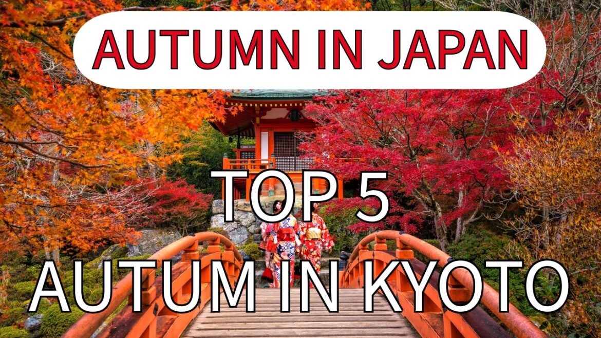 Kyoto's Top 5 Autumn Spots 2024   Ultimate Japan Travel Guide