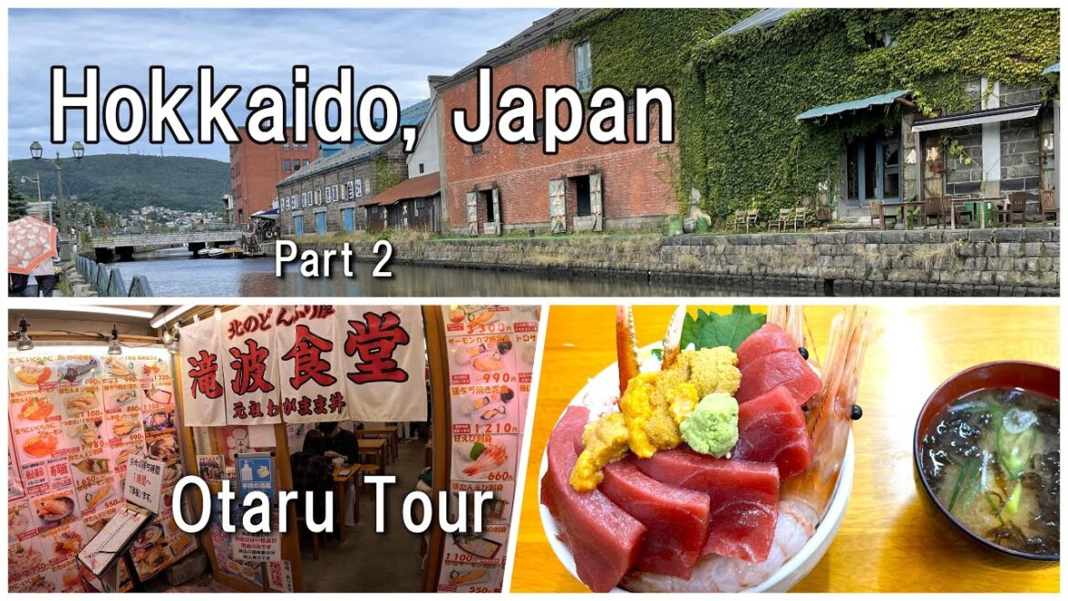 Hokkaido in Japan part 2 | Otaru Canal, Glass Crafts, Seafood Rice Bowl, Fish Market