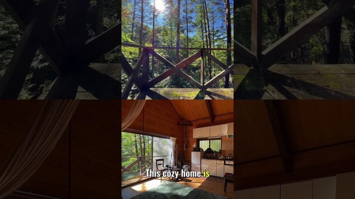 Beautiful cabin in Japanese forest!