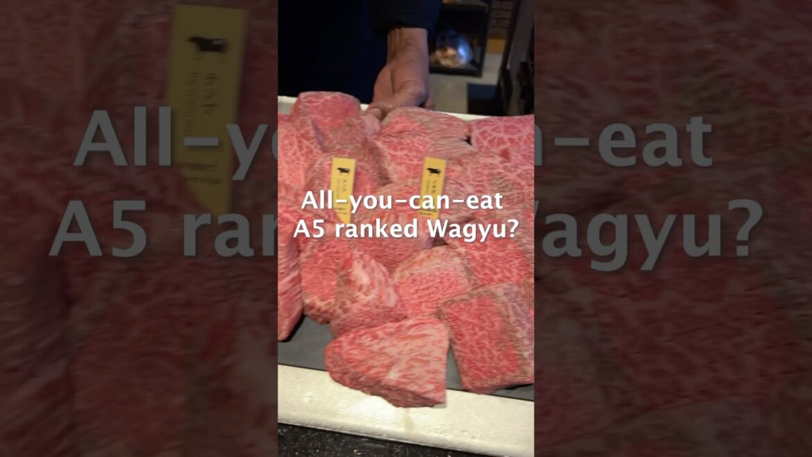 Ultimate A5 Wagyu All You Can Eat! A5Wagyu #japanesecuisine #japan #japantravel #japanesefood Ultimate A5 Wagyu All You Can Eat! A5Wagyu #japanesecuisine #japan #japantravel #japanesefood