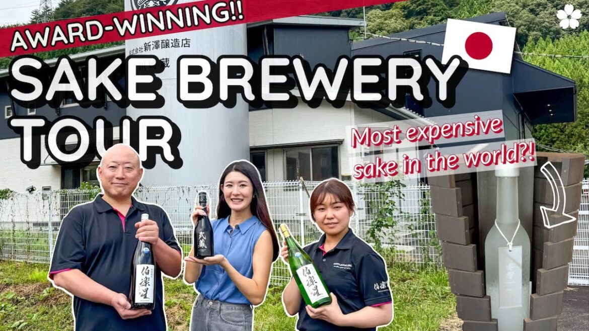How SAKE is Made 🍶 Niizawa Brewery in Miyagi Prefecture – Producer of the MOST EXPENSIVE Sake! How SAKE is Made 🍶 Niizawa Brewery in Miyagi Prefecture - Producer of the MOST EXPENSIVE Sake!