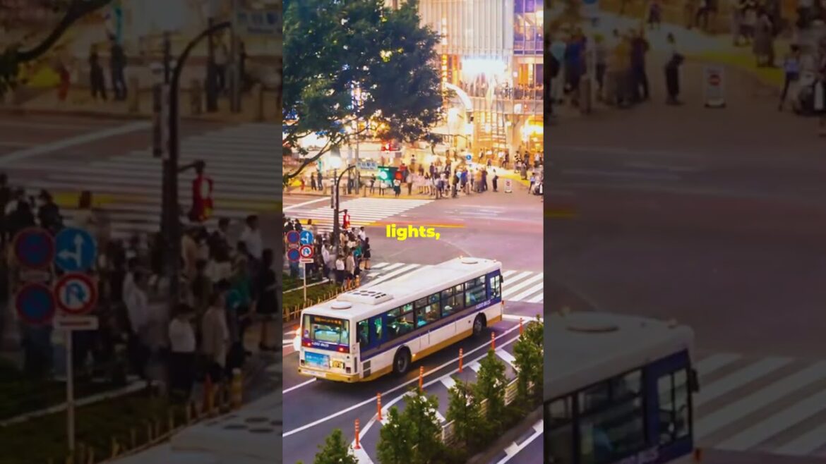 Top Places to Visit in Japan, Part 1 #japan #visitjapan #nature #explore #adventure #shorts