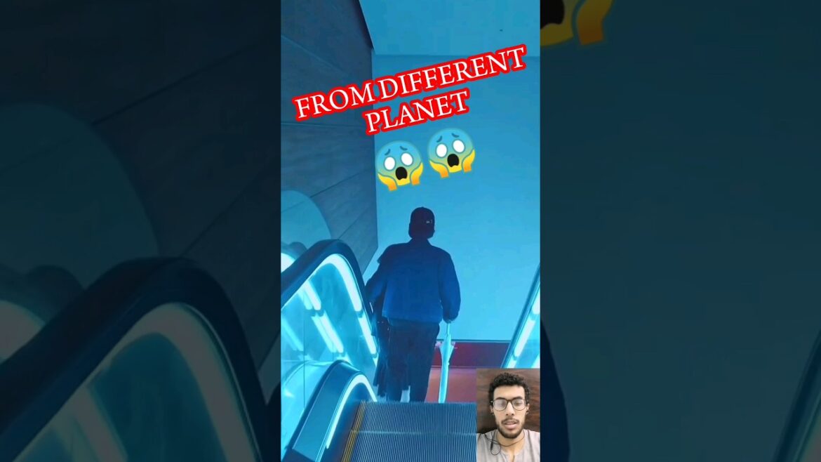 tokyo😯. al mare beautiful city tour 4k60 🌄