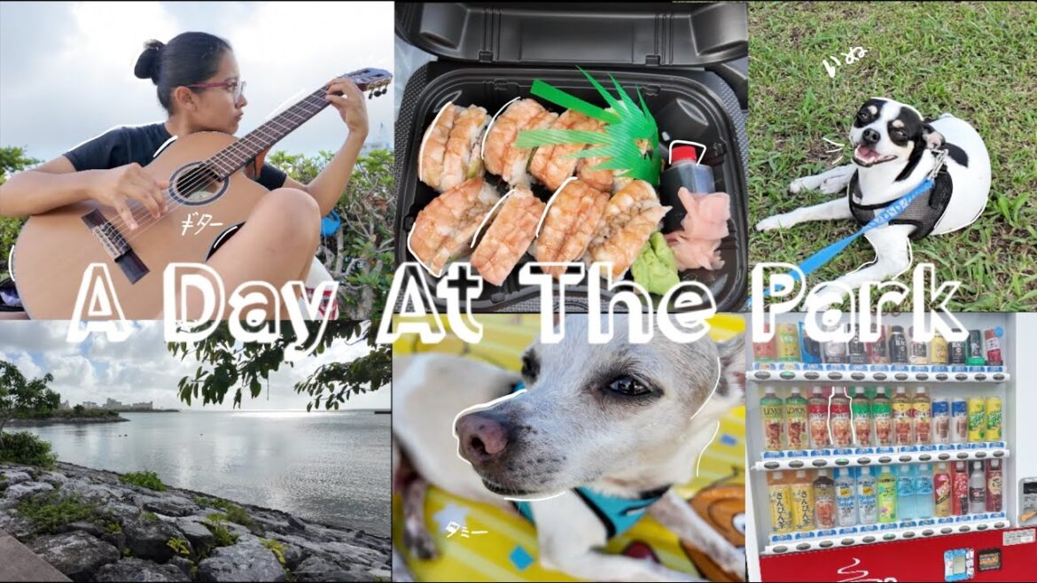 Okinawa: A Day At the Park
