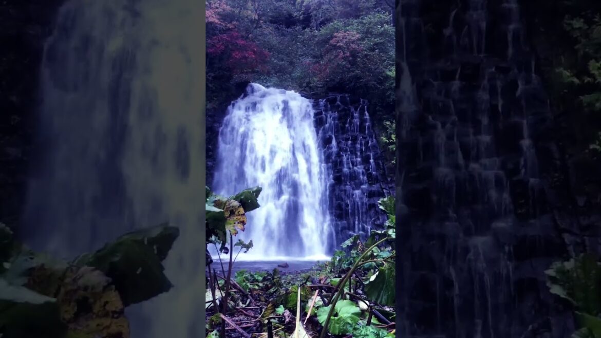 Kumagoe Waterfall: 熊越の滝 #nature #waterfall
