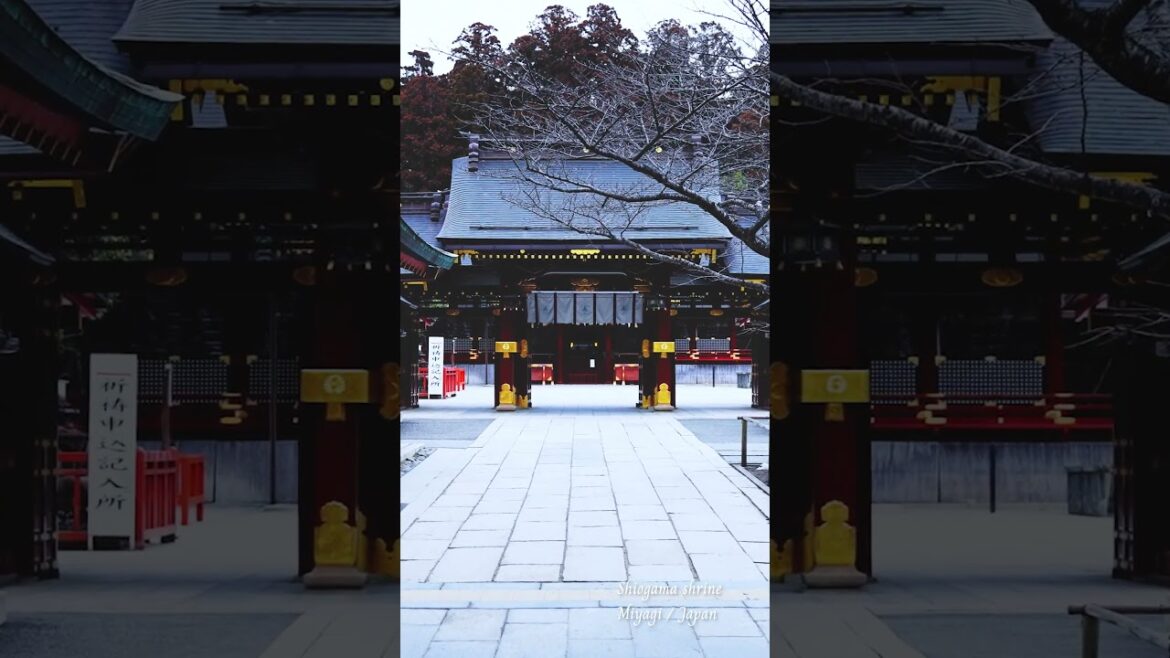 Shiogama Shrine｜Miyagi｜JAPAN