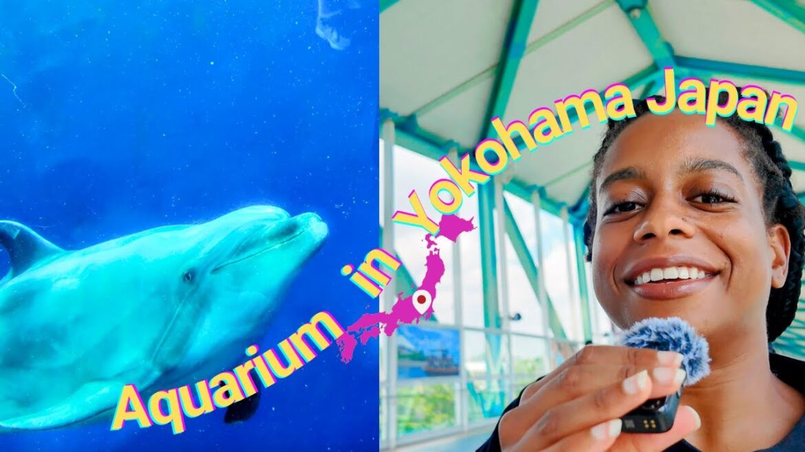 Yokohama Sea Paradise Vlog: Day Trip in Japan Vlog Yokohama Sea Paradise Vlog: Day Trip in Japan Vlog