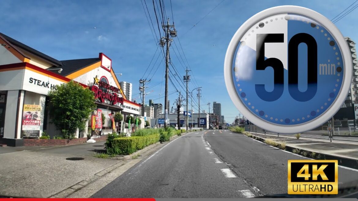 Driving from Anjo to Toyota City | Japan Trip