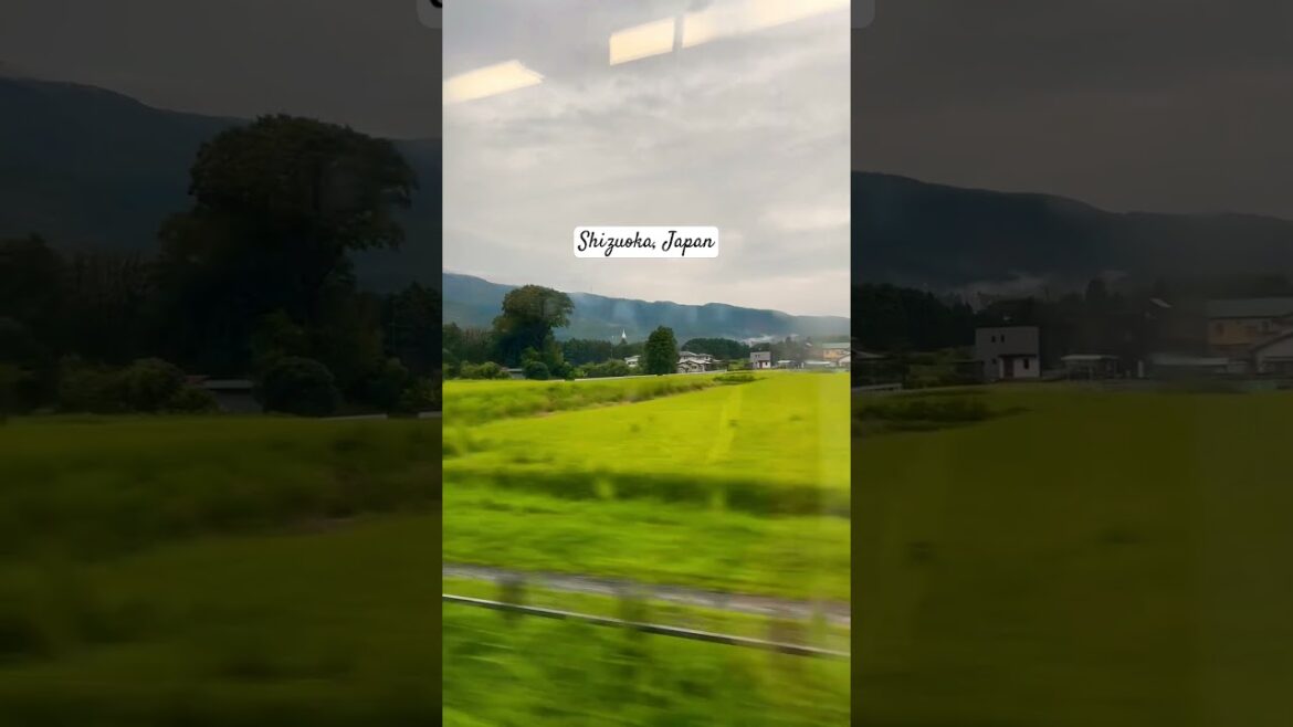 Japan Summer #fyp #foryou #fypシ゚viral #shortsvideo #shortsfeed #shorts #short #nature #travel #vlog