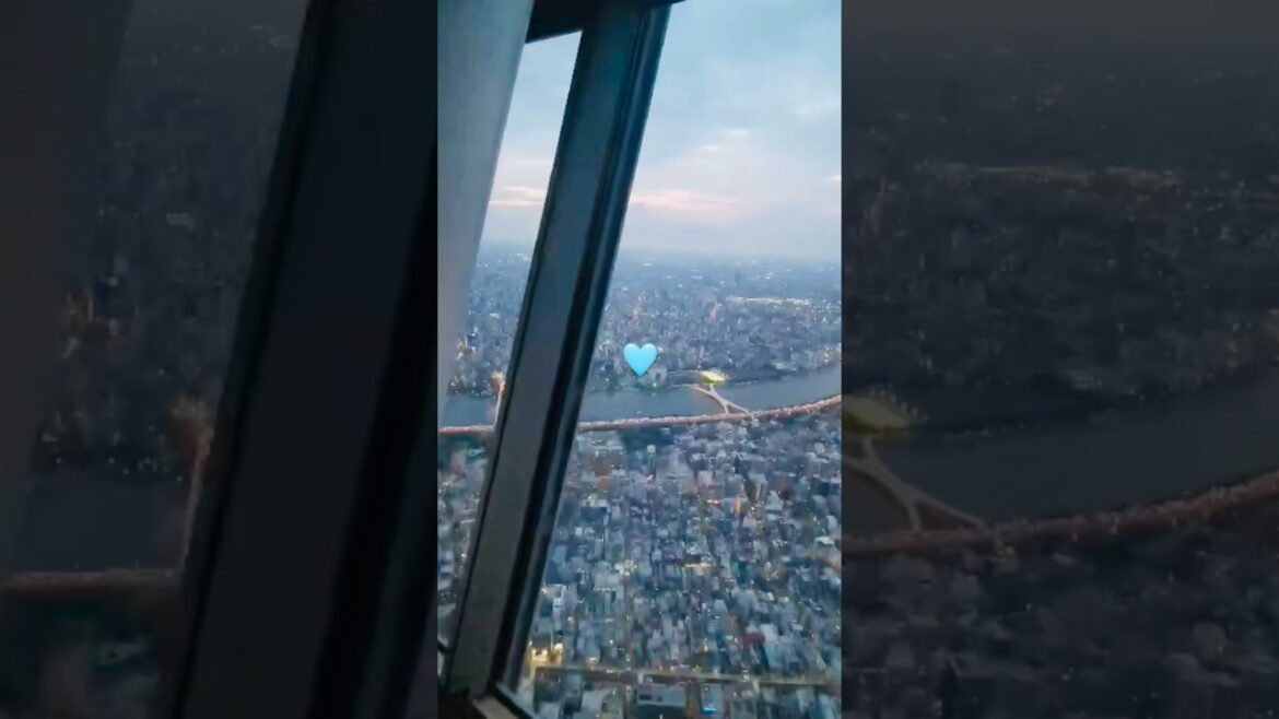 Tokyo Sky Tree 🩵🦋 #tokyo #travel #skytree #sky #cityviews 🇯🇵 #alanwalker #music
