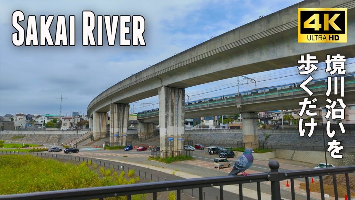 Walking along the Sakai River in Yokohama. A popular cycling road ,Japan ,4k