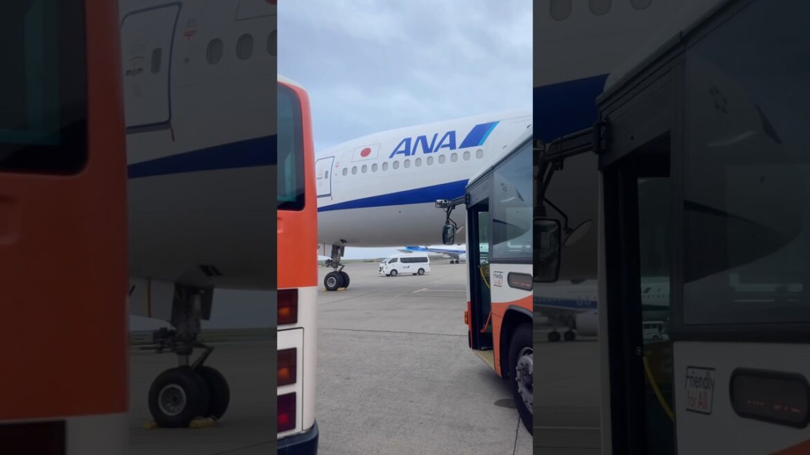 Japan trip day 1 : Haneda Hamamatsu