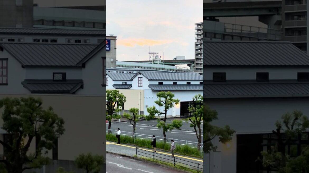 5:56pm Oct 2024 Japan City #streetview #japantravel #fukuoka #traffic #citywalk #citylife 5:56pm Oct 2024 Japan City #streetview #japantravel #fukuoka #traffic #citywalk #citylife