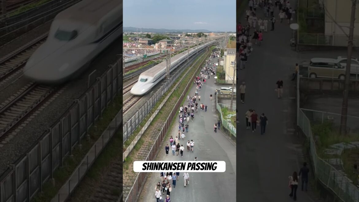 Shinkansen Japan #shorts#viral#videos#Japan