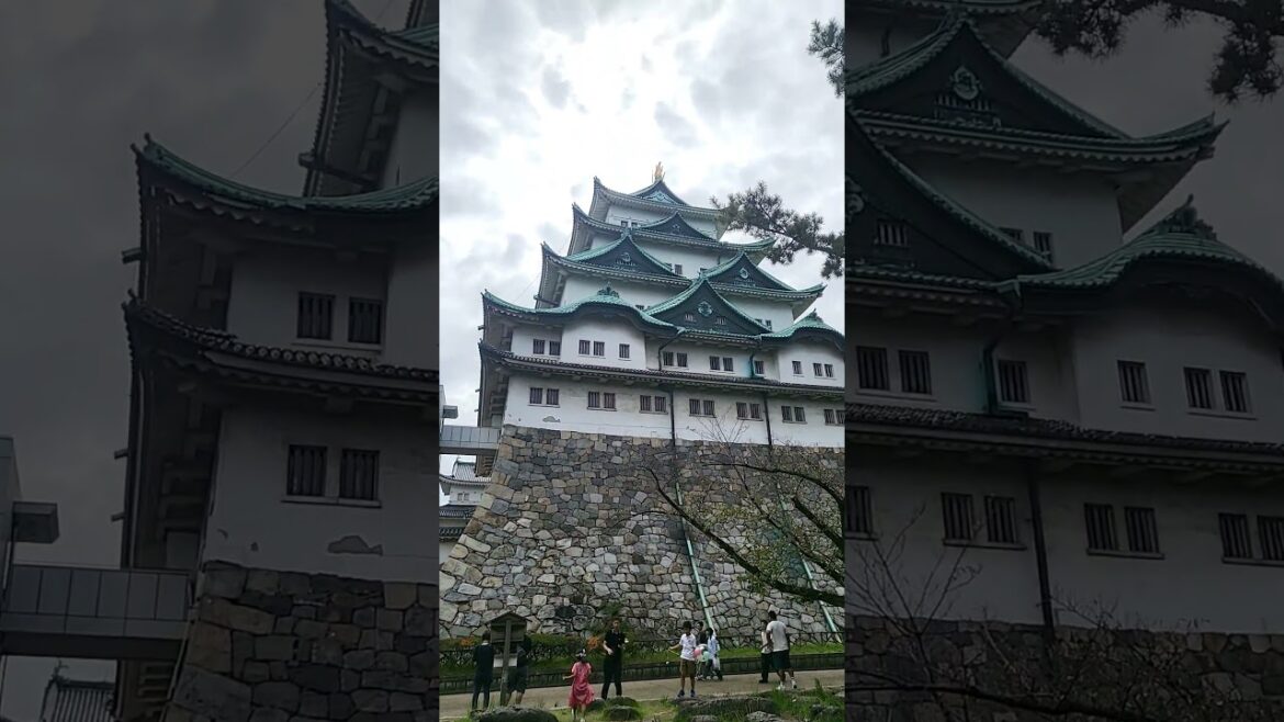 Nagoya Castle #japantravel #japan travel #travel