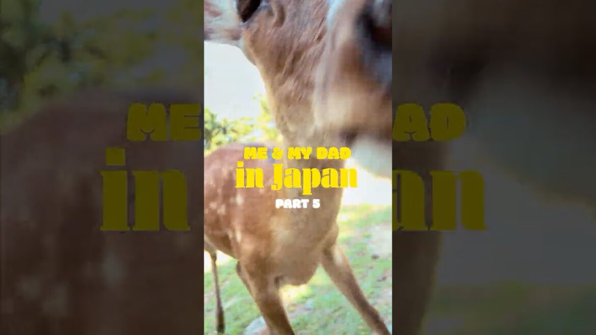 Me & My Dad in Japan: Part 5 (Osaka, Kyoto & Nara) • #Shorts #Travel