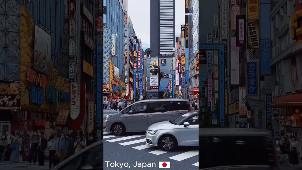 #japan #travel #beautifulview #explore #tokyo #shortsvideo #shorts #trending