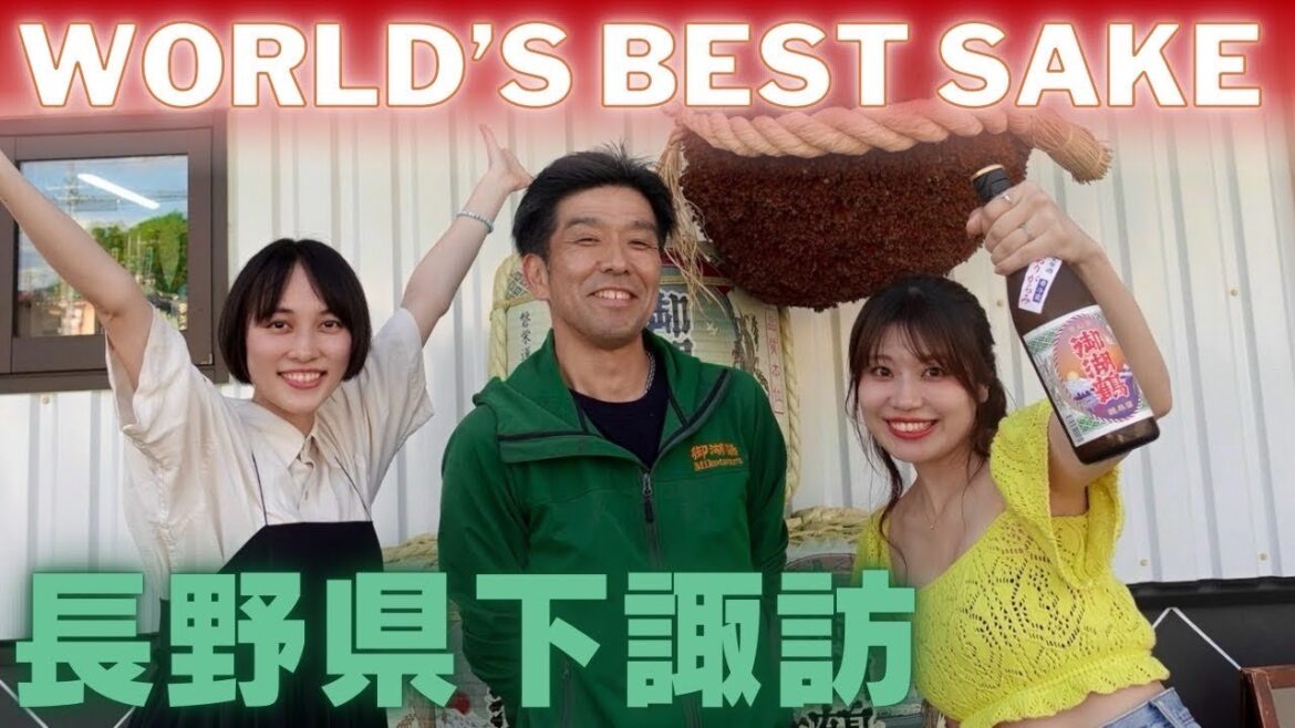 世界一に輝いた日本酒!下諏訪の酒蔵「御湖鶴」に潜入してきた!【長野県】#酒蔵見学 #日本酒女子 #sake #japantravel 世界一に輝いた日本酒!下諏訪の酒蔵「御湖鶴」に潜入してきた!【長野県】#酒蔵見学 #日本酒女子 #sake #japantravel