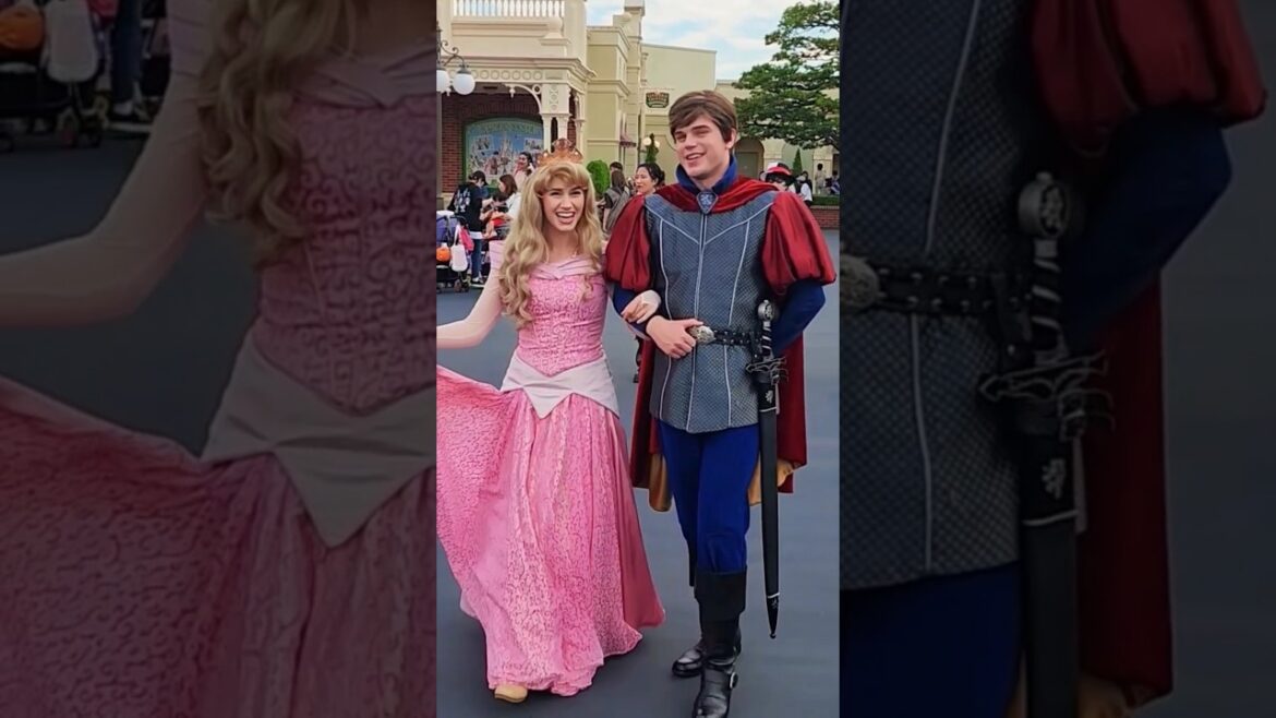 Tokyo Disneyland part 3 (like and Subscribe) #disneyland #Tokyo #tokyodisneyland #Japan #travel