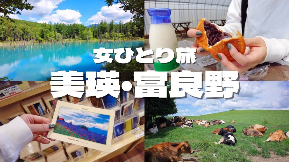 【女ひとり旅】美瑛・富良野を巡る1日VLOG / 北海道グルメ / ラベンダー / ニングルテラス / スープカレー / 青い池 【女ひとり旅】美瑛・富良野を巡る1日VLOG / 北海道グルメ / ラベンダー / ニングルテラス / スープカレー / 青い池