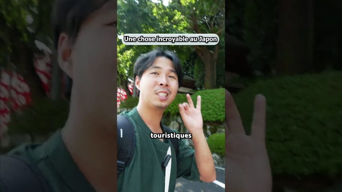 Les trésors inattendus du Japon🏯 #japon #nagoya