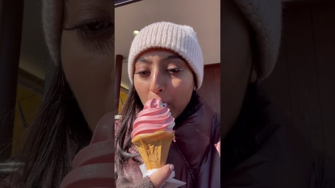 Japan Adventures: Mt Fuji - Vlog 4 of 20